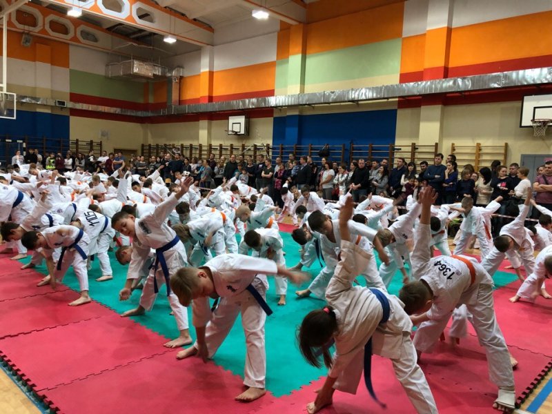 ���������������� ���������: ����.