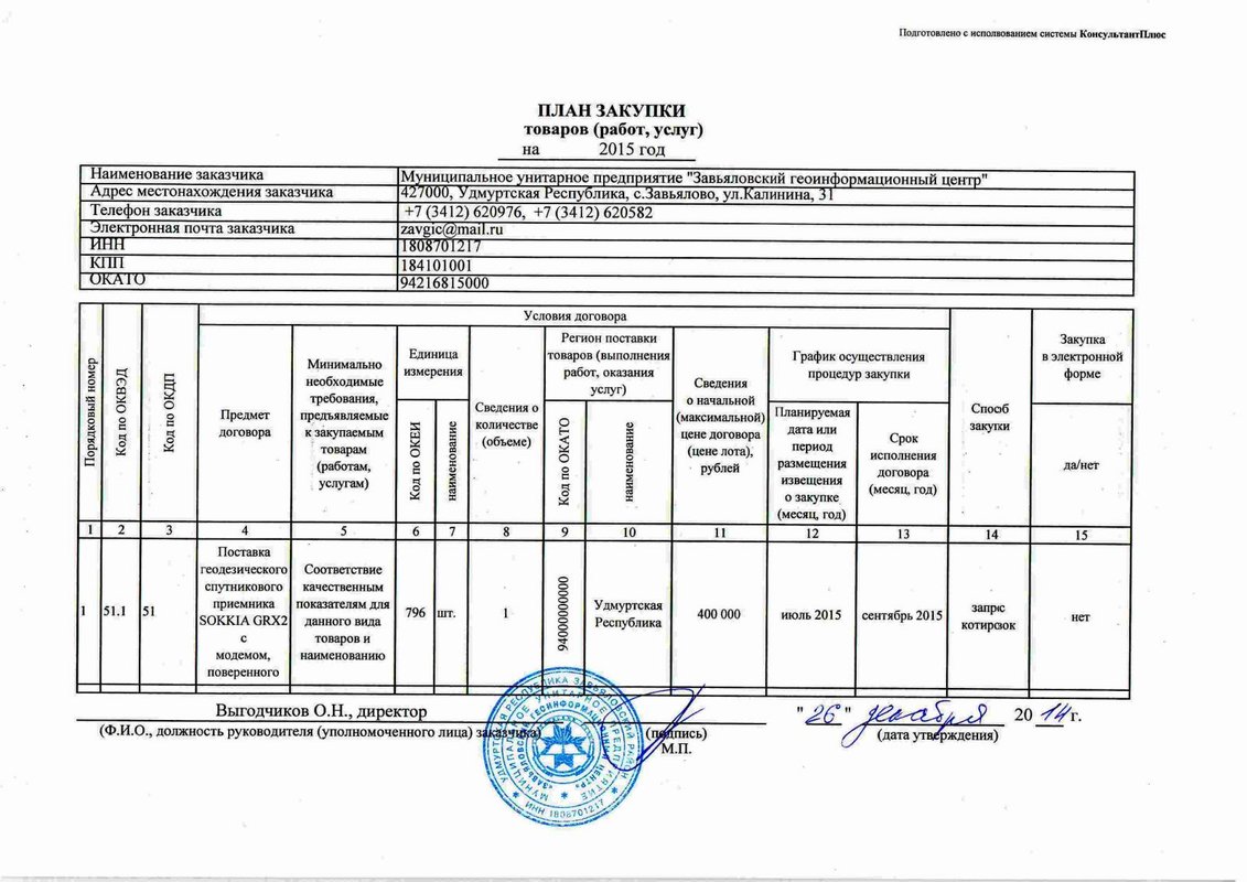 Год плана графика. План закупок по 223-ФЗ образец. Графический вид плана закупки по 223 ФЗ. План закупок по 223 ФЗ пример заполнения. График закупок.