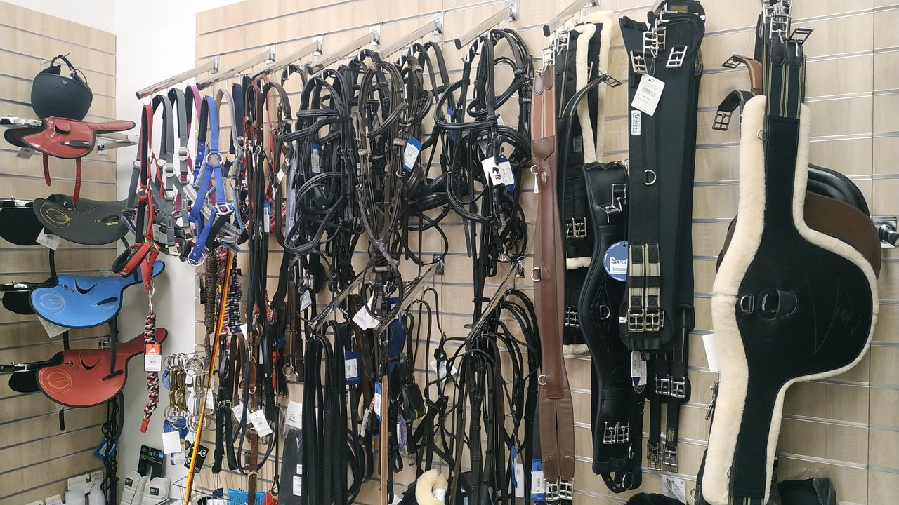 Технология спорта конный магазин интернет. Конный магазин в Уфе. Конные магазины в Казани. Конный магазин Нижний Новгород. Коный магазин в Питере.