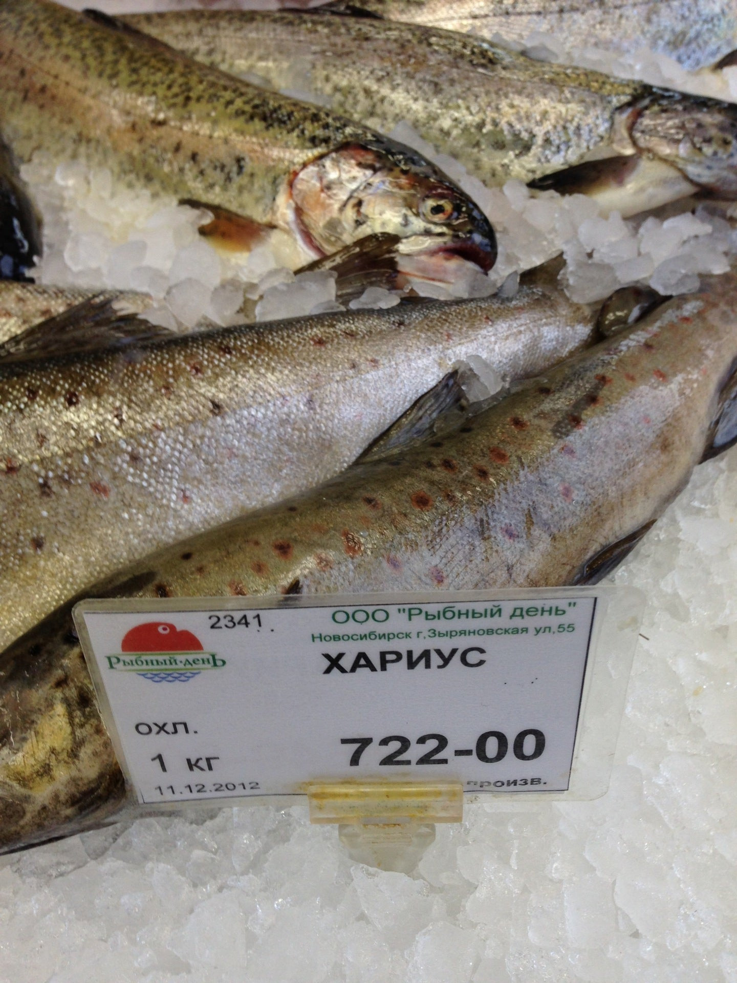 Магазины рыбы и морепродуктов в Новосибирске рядом со мной – Купить  морепродукты: 521 магазин на карте города, 582 отзыва, фото – Zoon.ru