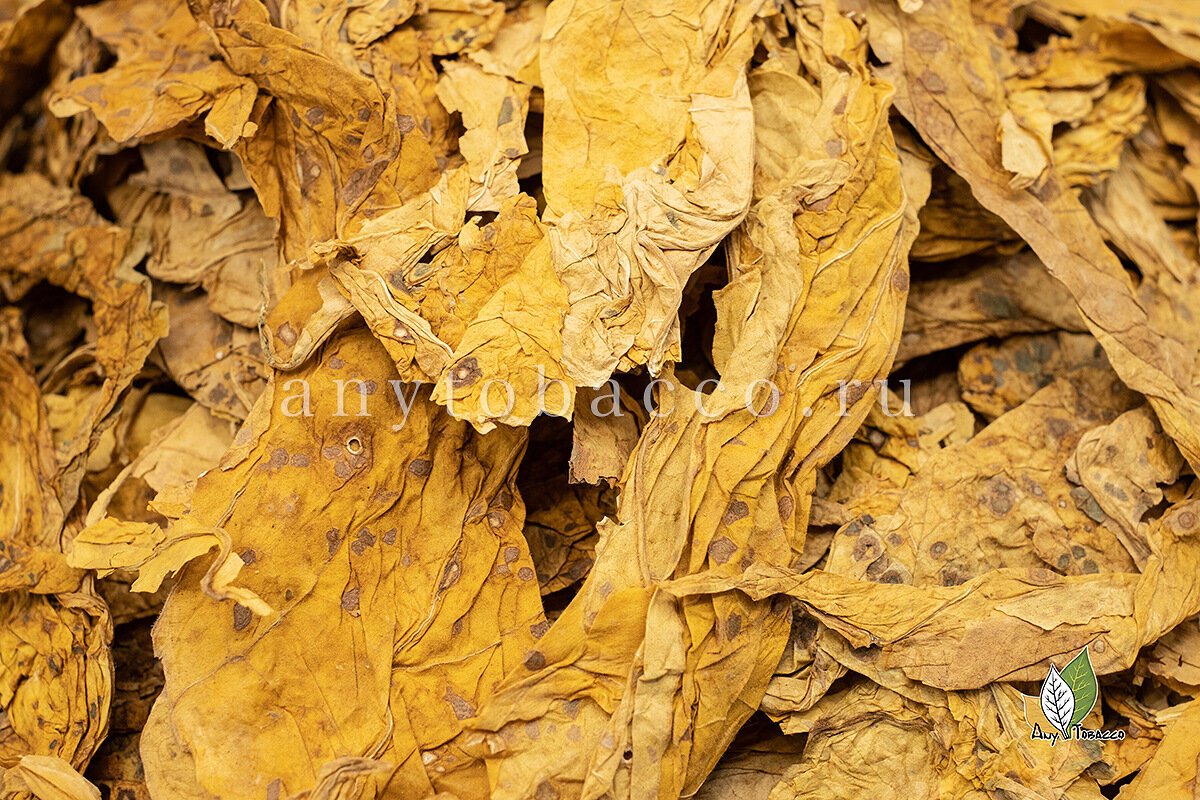 Virginia табак сырье. табак (сырьё). табак (сырьё). лрс табак. табак (сырьё).