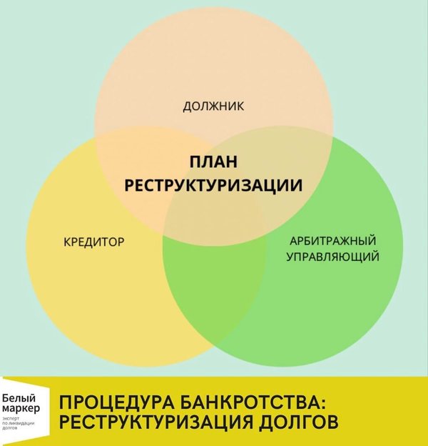 Проект плана реструктуризации долгов гражданина образец