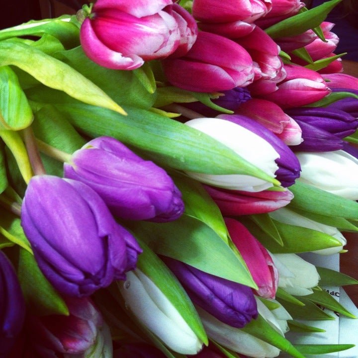 Строителей 4а череповец. Уксир мэрии г. Строителей 4а череповец. Жилищный отдел мэрии череповца. Строителей 4а череповец.