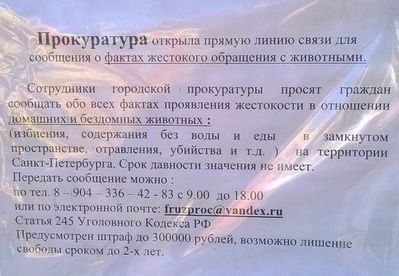 Образец заявление о жестоком обращении с животными