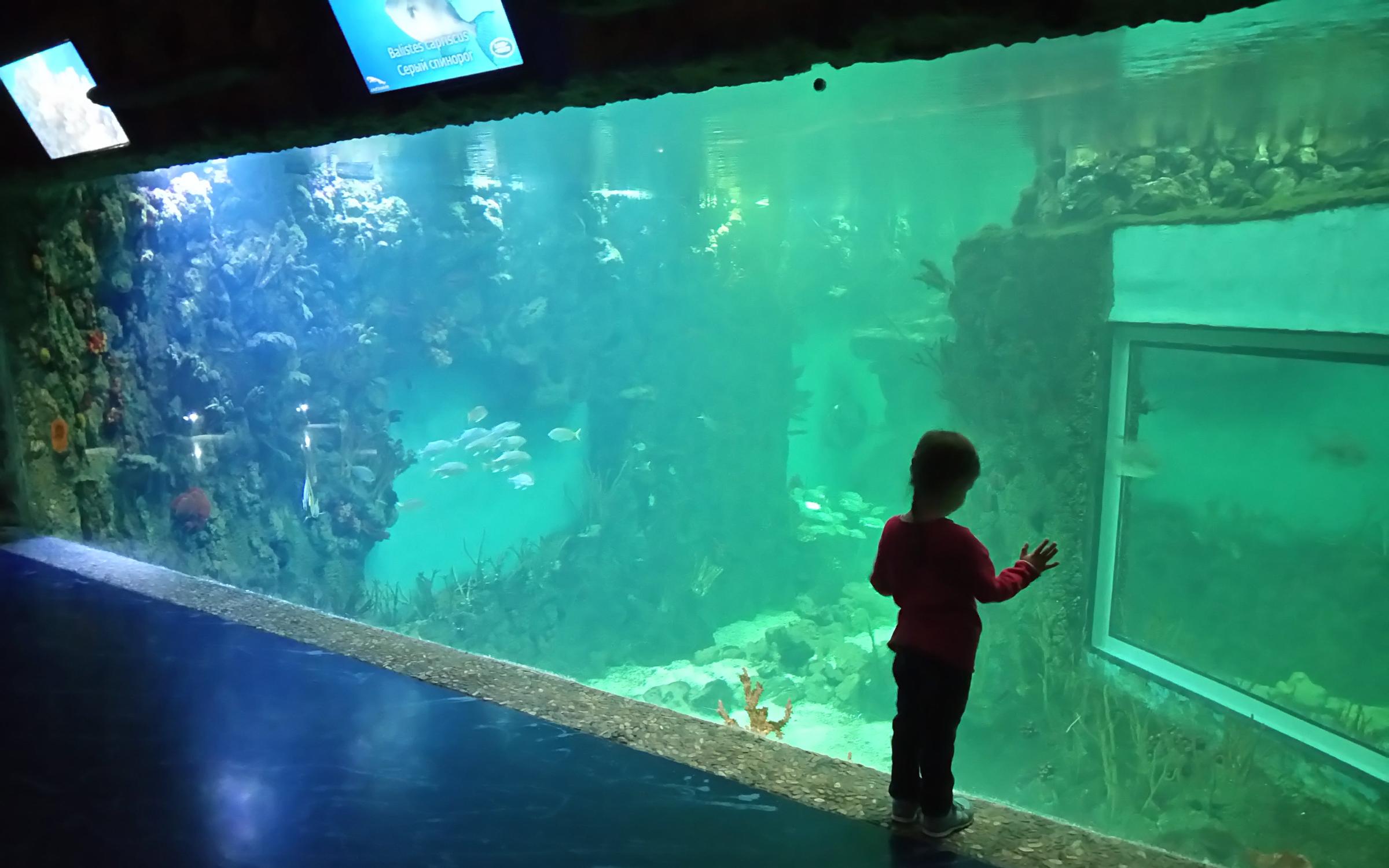 Крокус сити, развлекательный центр на Международной улице в ...