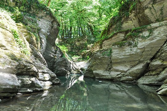 Каньон псахо сочи фото My Active Day на улице Мичурина в Красной Поляне, Сочи - Zoon