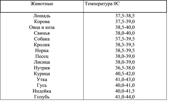 Температура кошки в норме по возрасту таблица
