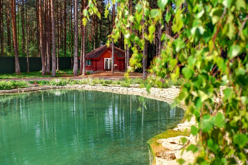 Сосновское черепашьи озера