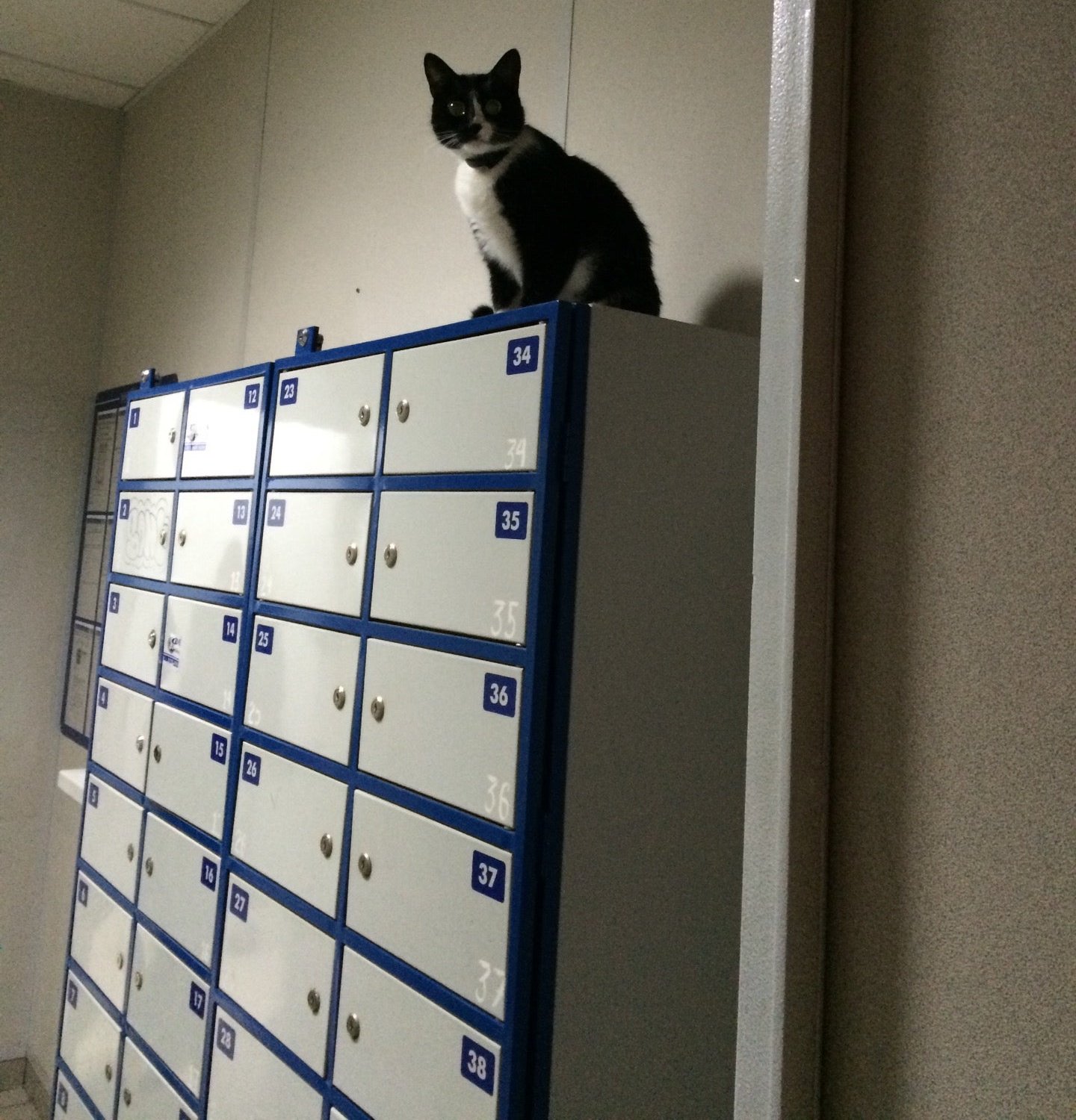 Отделение Почта России №111394 в Новогиреево - отзывы, фото, цены ...