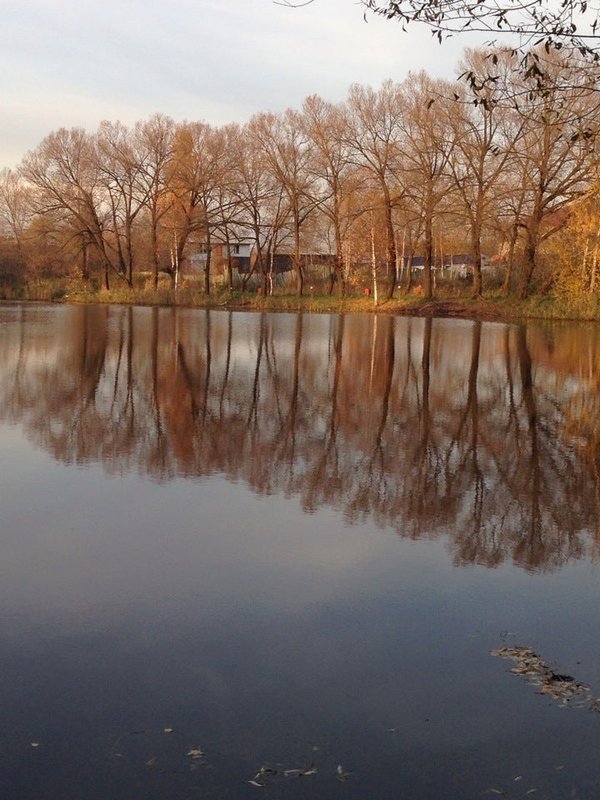 Ликинские пруды ликино дулево фото