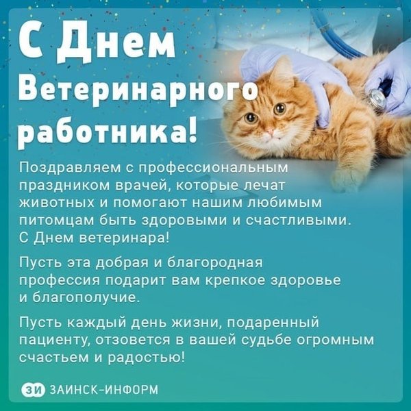 Картинки к дню ветеринара