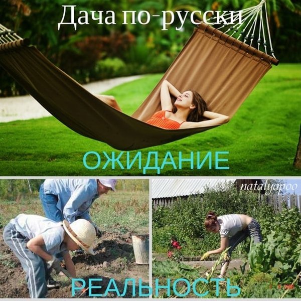 Как не поехать на дачу