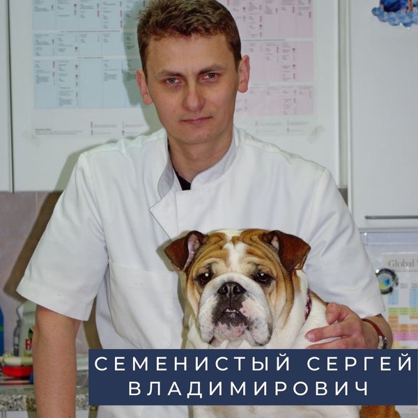 ветклиника колибри в долгопрудном. ветклиника колибри в долгопрудном. ветклиника колибри в долгопрудном. ветклиника колибри в долгопрудном. ветклиника в долгопрудном на пацаева.