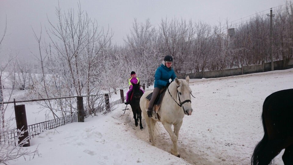 Самарская конюшня. Авангард конный клуб самара. Конюшня в самаре. Борское самарская область конюшня. Кск аргамак самара.