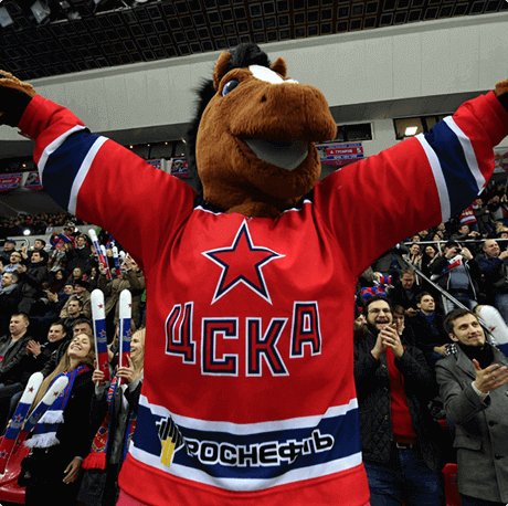 Талисманы кхл. Khl ticket. Khl ticket. Торпедо салават юлаев гостевой сектор. Билет на матч по хоккею.