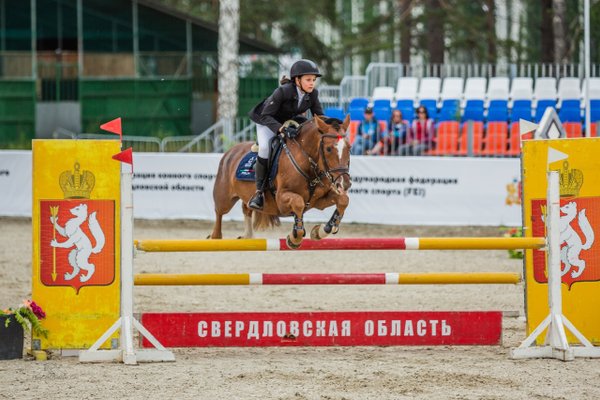 Дарья Бастрыкина конный спорт