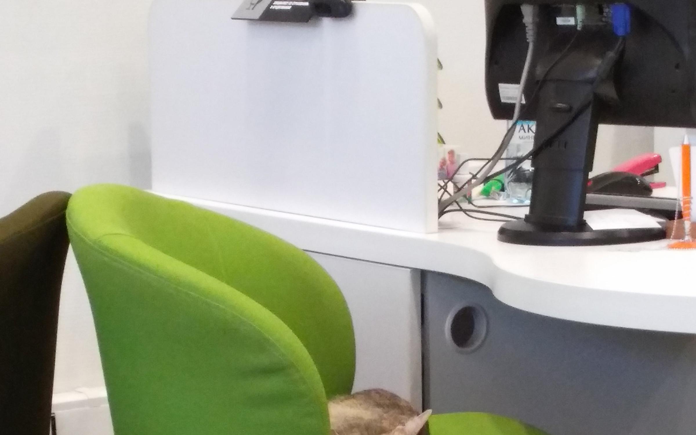 Renault РОЛЬФ Автопрайм, автосалон на Полюстровском проспекте в Санкт ...