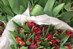 Октябрьское поле цветочный магазин цветы доставка москва zarum фирма