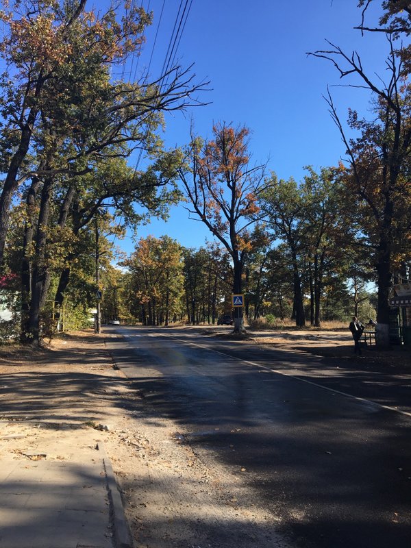воронеж дубовая улица 46 зеленый огонёк. сомово улица дубовая воронеж. бочка лер 10л. дубовая улица, воронеж. дубовая воронеж.
