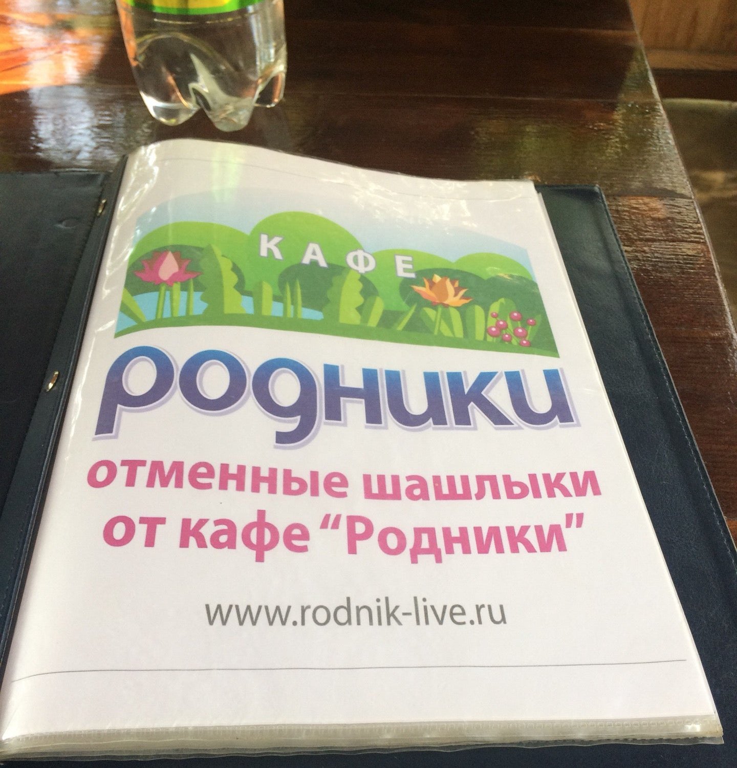 Родник тольятти. Родники кафе Тольятти. Кафе Родники рассвет Тольятти. Родники кафе. Родники Тольятти.