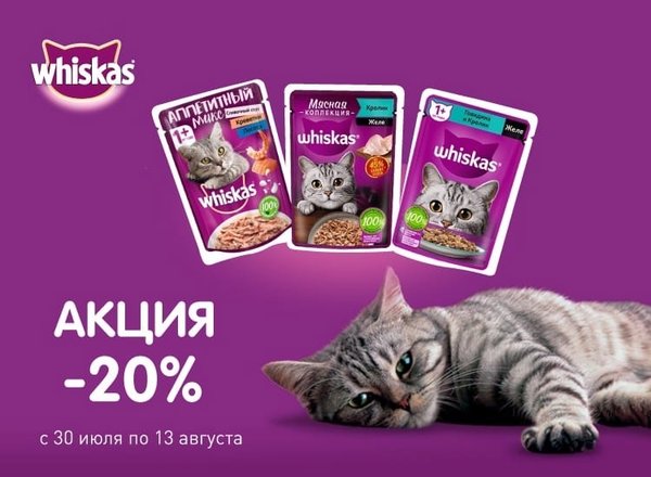 Пет маркет