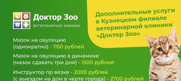 ДокторZoo 0,045кг лакомство витаминное 90таб, со вкусом печени для кошек купить 