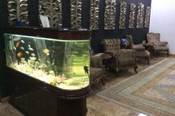 Sapar Standart Hotel