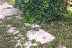 Русский транзит