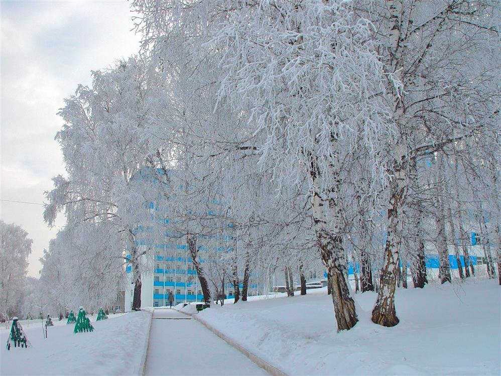 Красноярское загорье фото