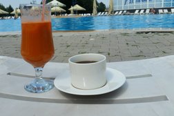 Дельфин