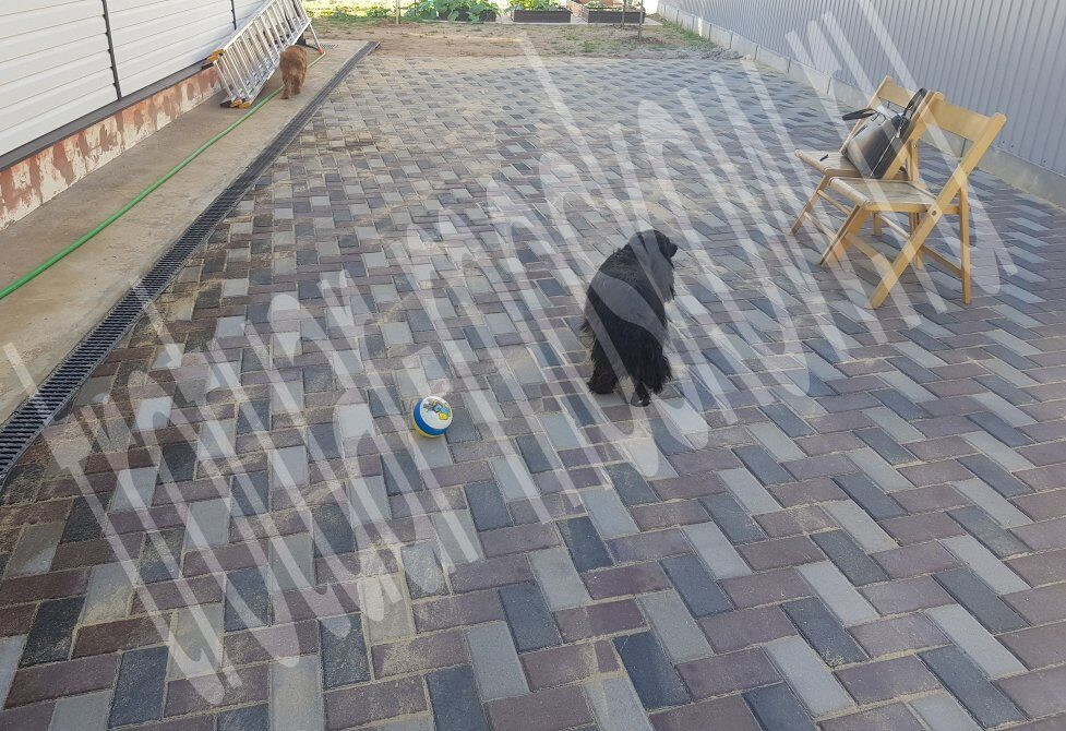 Тротуар быстро высыхал дул теплый. Тротуар быстро высыхал дул теплый западный ветер. Тротуарные дорожки из кирпича. Трава между плитками. Тротуар быстро высыхал дул теплый.