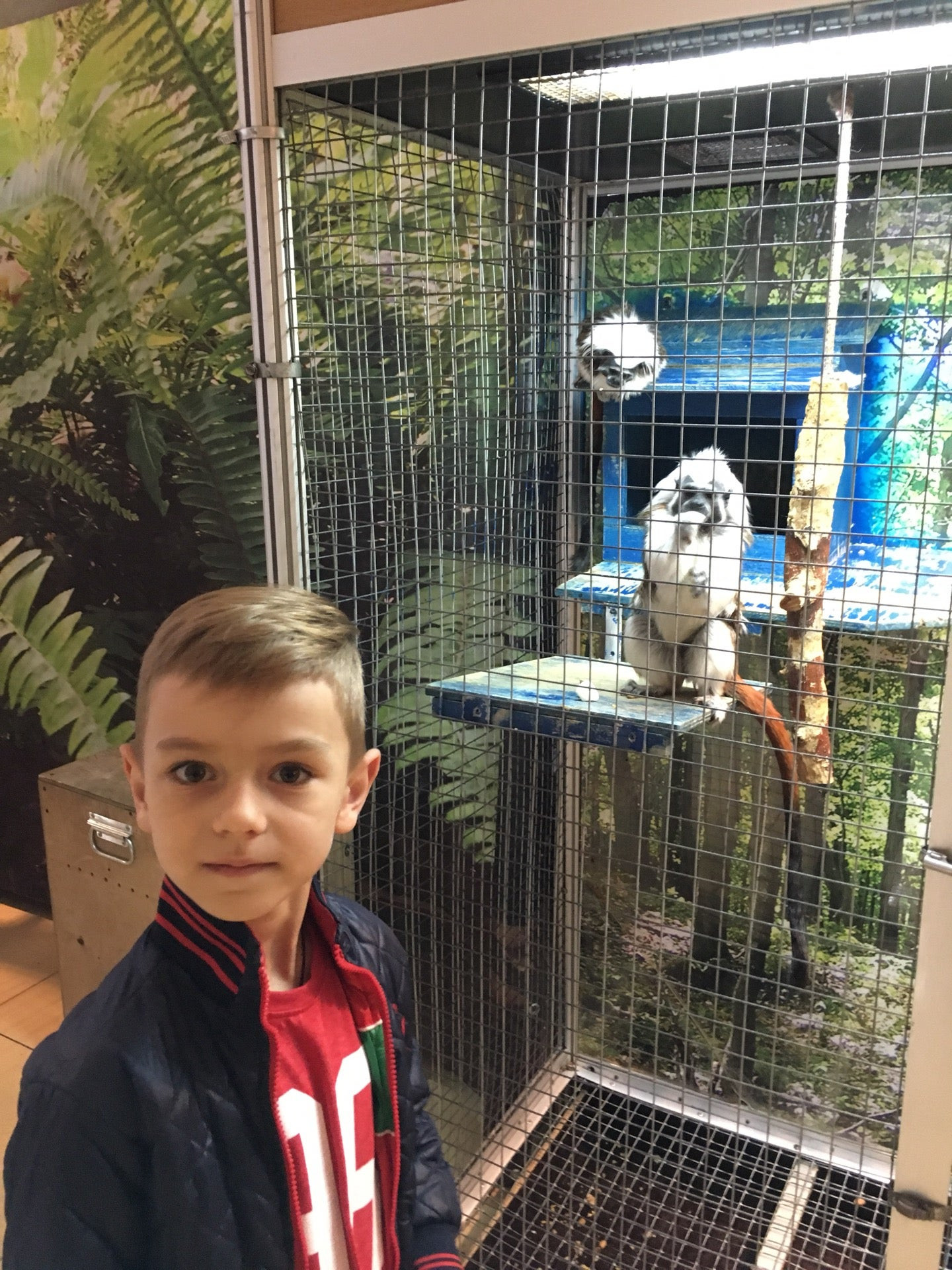 Кафе манеж. Французская кондитерская garcon. Кафе «манеж + garçon». Социалистическая 102 всеволожск. Кафе «манеж + garçon».