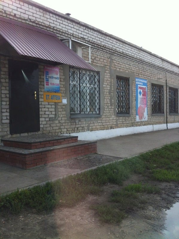 Полевая сызрань. Ул Полевая 22 Сызрань. Розовый слон Сызрань. Баумана 17 Сызрань ветклиника.