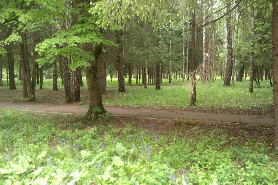 Звенигород 1 июня. Зеленоград Лесопарковая зона. Санаторий Звенигородский. Горка Парнас Берново. Лесопарковая зона мемориальная.