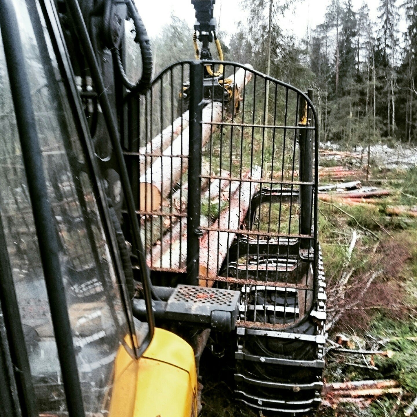 Кириши Леспром на Промышленной улице в Санкт-Петербурге 💼 отзывы, фото ...