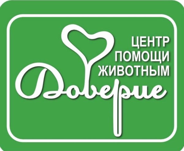Фото центр помощи животным. Логотип для приюта бездомных животных. Новый уренгой приют для бездомных животных подари мне жизнь. Центр помощи животным. Центр помощи животным.