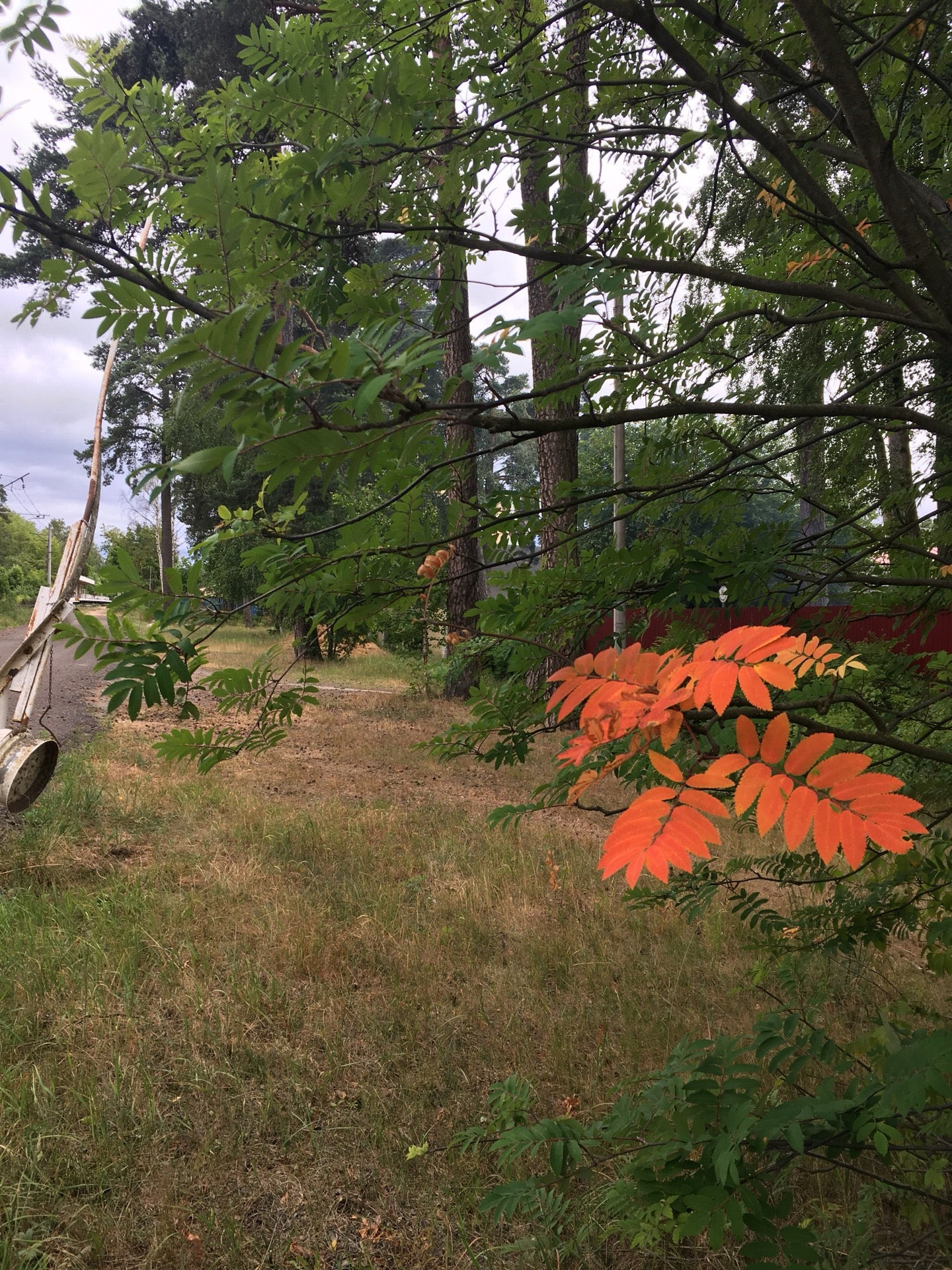 38 квартал сестрорецк. светлый мир внутри сестрорецк. улица эльдара рязанова 4. закрытый мост. 38 квартал сестрорецк.