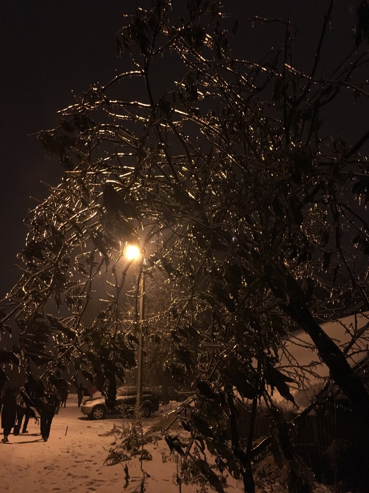 Рынки на улице Бурденко рядом со мной, 1 магазин на карте города, отзывы,  фото, рейтинг рынков – Химки – Zoon.ru