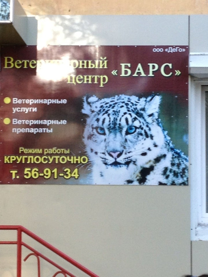 Ветклиника снежный барс можайск. Барс ветеринарная. Барс Хабаровск.