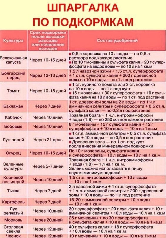 Таблица удобрений для дачника и сроки