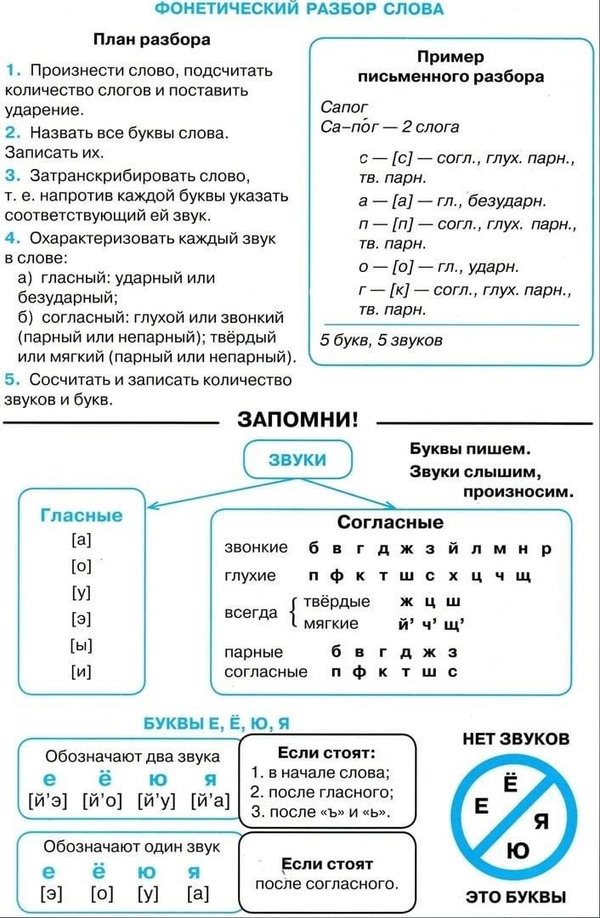 Картина сколько звуков и букв и звуков