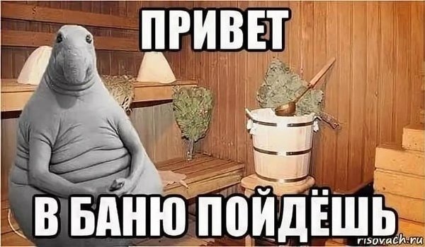 Смешные картинки для бани