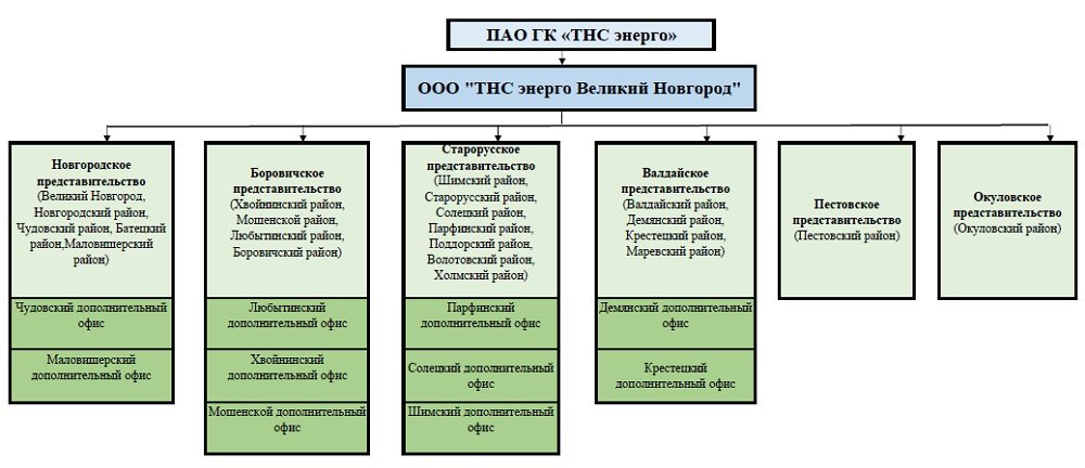 Тнс энерго великий новгород. ТНС структура предприятия. ТНС Энерго структура компании. ТНС Энерго организационная структура предприятия. ООО Энерго организационная структура.