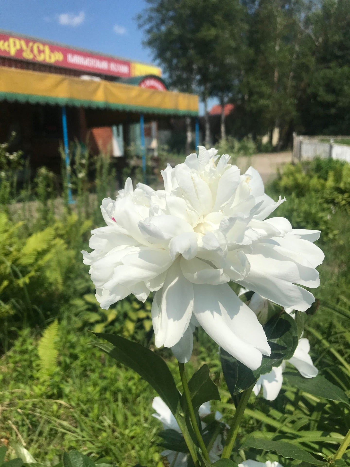 Круглосуточные рестораны Смоленска с адресами, телефонами, отзывами и фото  – Zoon.ru