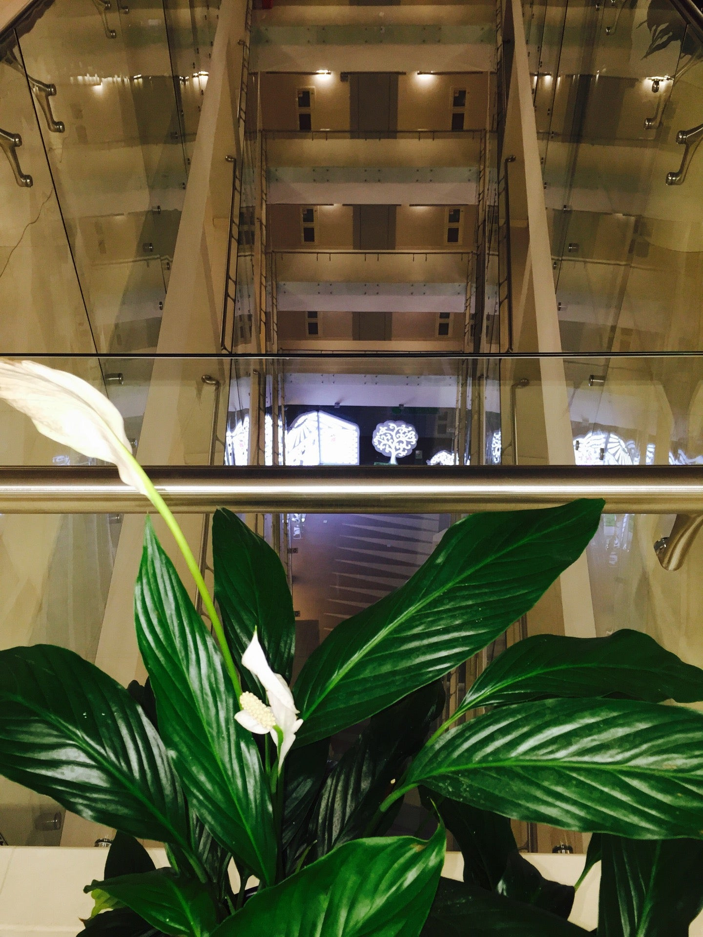 Лизинговые услуги в Алматы: адреса и телефоны – Оформить лизинг: 16 ...