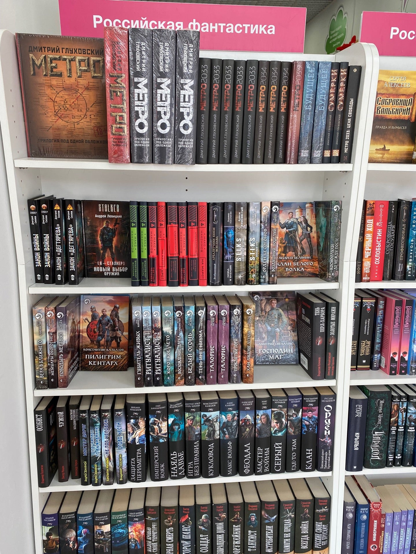 Книжные саранск