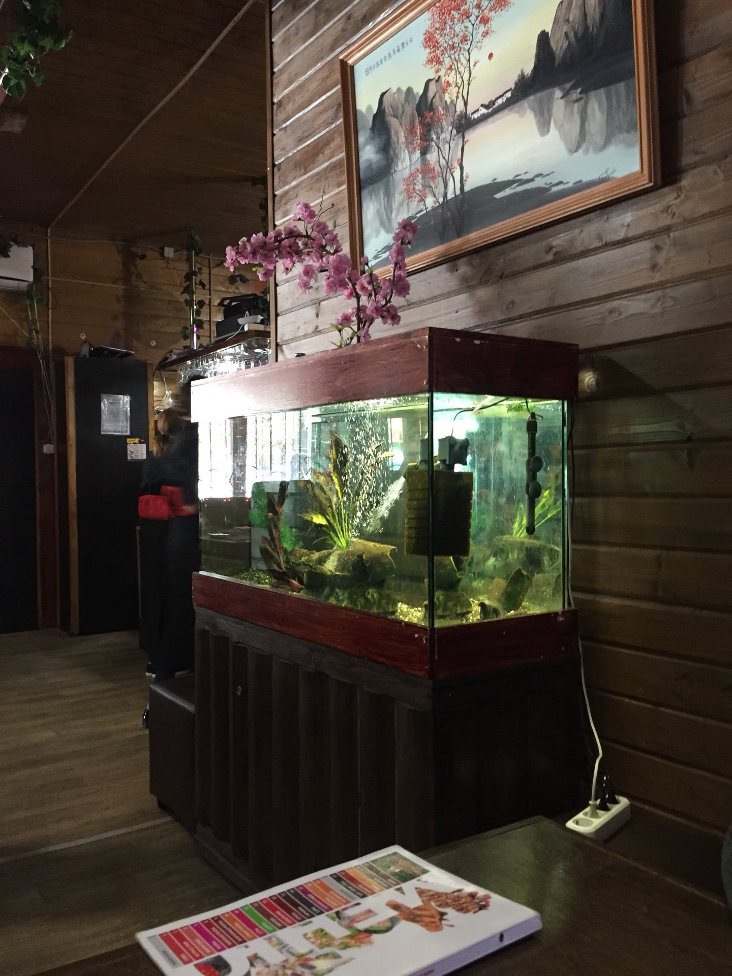 Кафе фьюжн тольятти. Кафе фьюжн тыва. Кафе фьюжн балаково. Фьюжн на дубнинской. Фьюжн октябрьская ул 106.