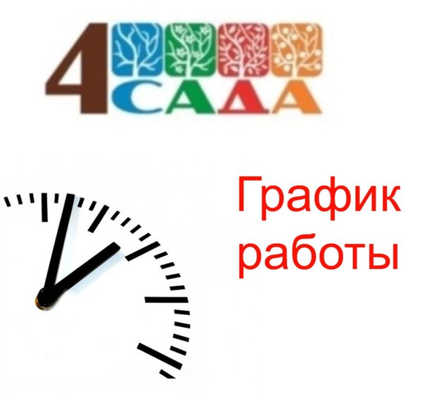 4 сада график работы. 4 сада график работы