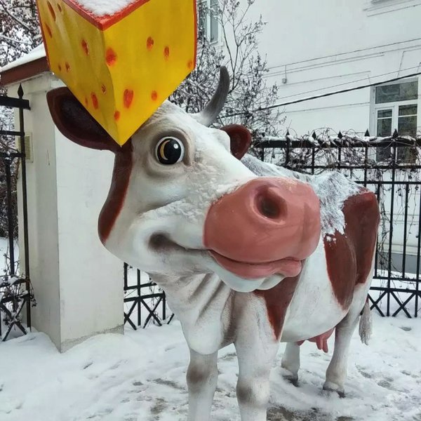 Отзыв о Музей сыра (Россия, Кострома) Даёт корова молоко? Вообще не факт!