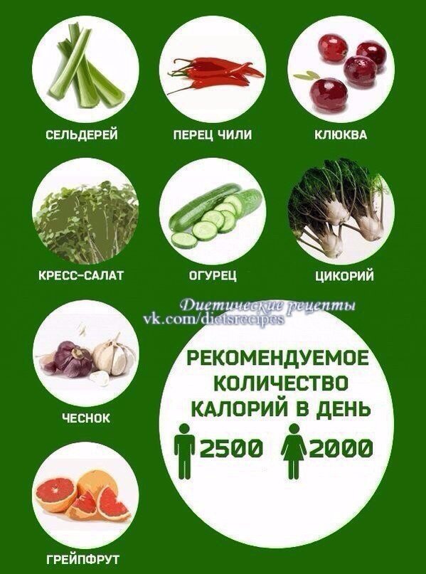 Продукты с минусовой калорийностью список таблица Новости и сообщения из официальной группы Вконтакте Региональной общественной ор